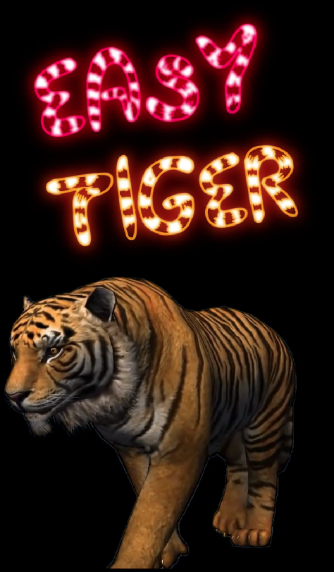 Photobooths | Magic Mirror Flash Animation: Tiger 